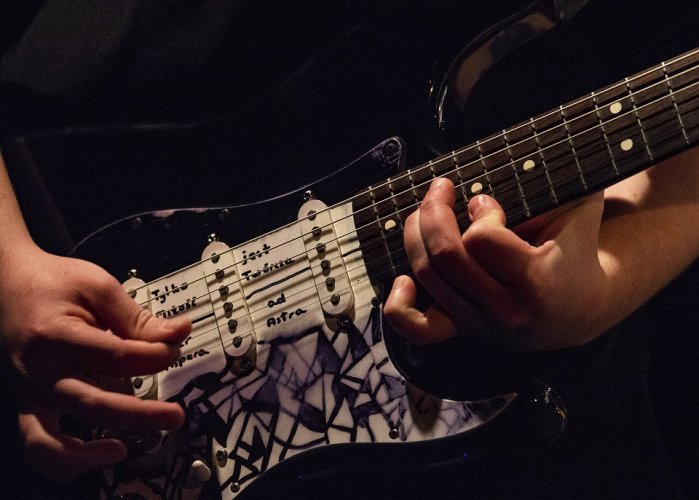 Sonbird Marek Wesołowski (6).jpg