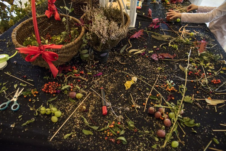 Szafing jesień 2017 (43).jpg