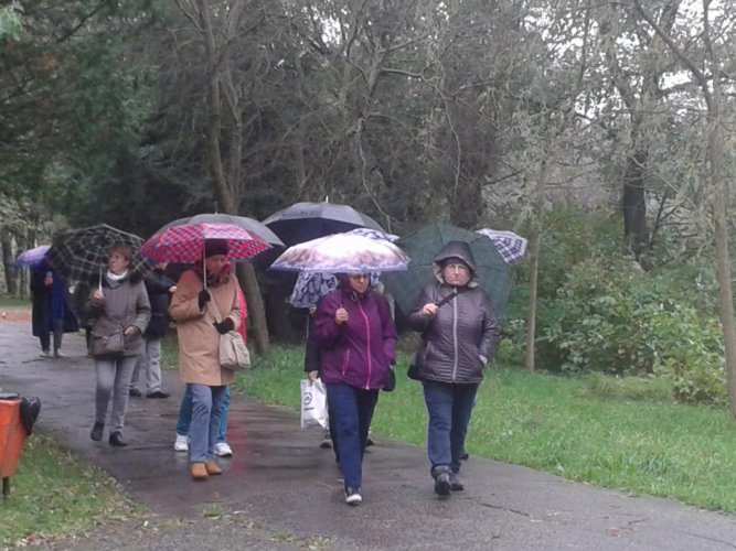 UTW Kazimierz (1).jpg