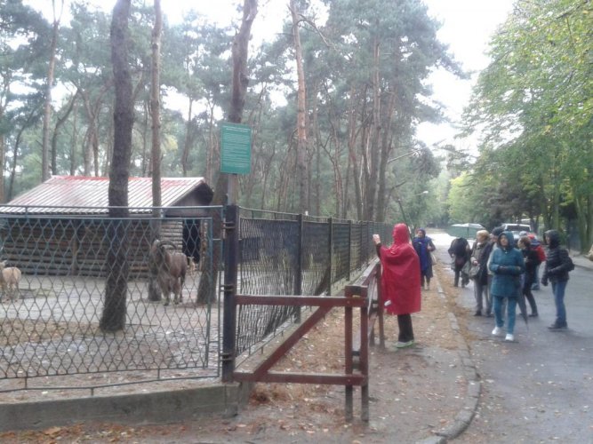 UTW Kazimierz (2).jpg