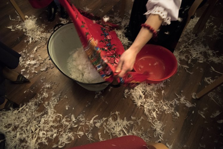 Wyszkubek fot. Marek Wesołowski (15).jpg