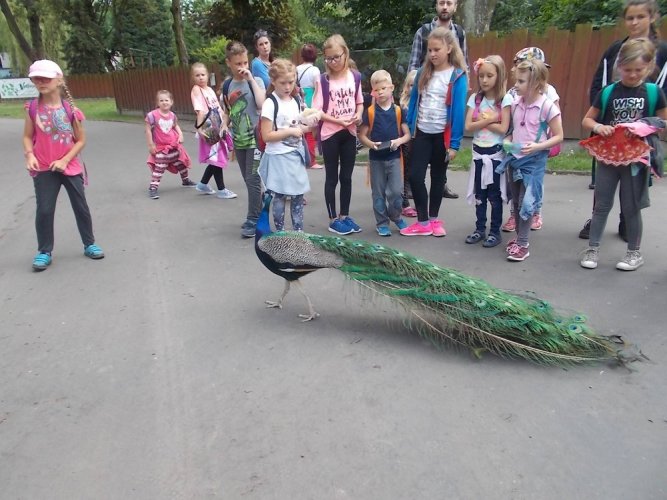 art. wak. 17 (12).jpg