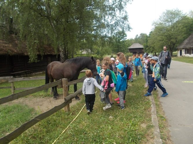 art. wak. 17 (17).jpg