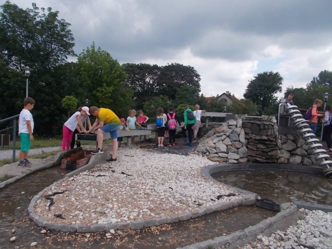 art. wak. 17 (21).jpg