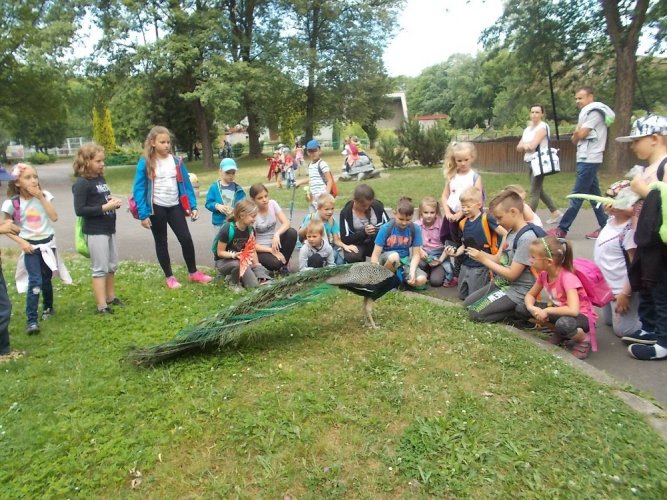 art. wak. 17 (22).jpg