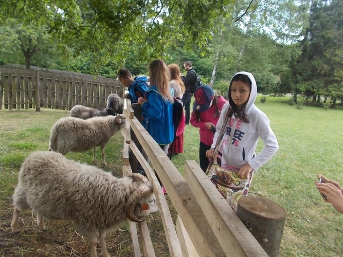 art. wak. 17 (29).jpg