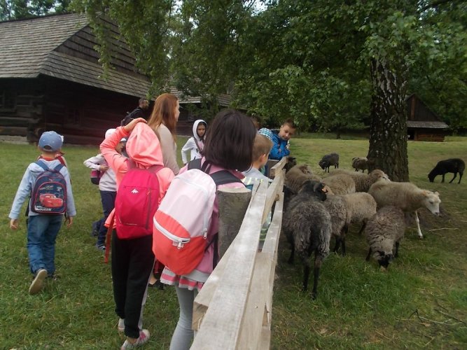 art. wak. 17 (4).jpg