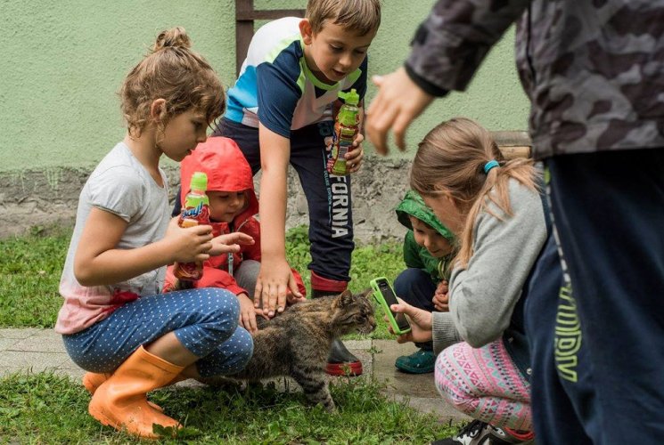 art. wak. part 3 (24).jpg