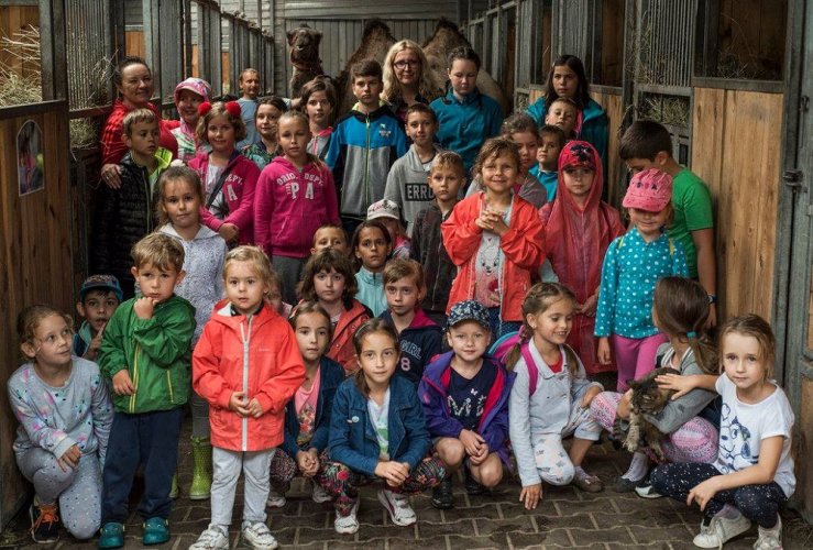 art. wak. part 3 (25).jpg