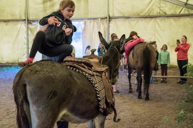 art. wak. part 3 (27).jpg