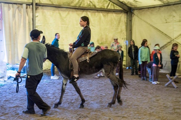 art. wak. part 3 (28).jpg