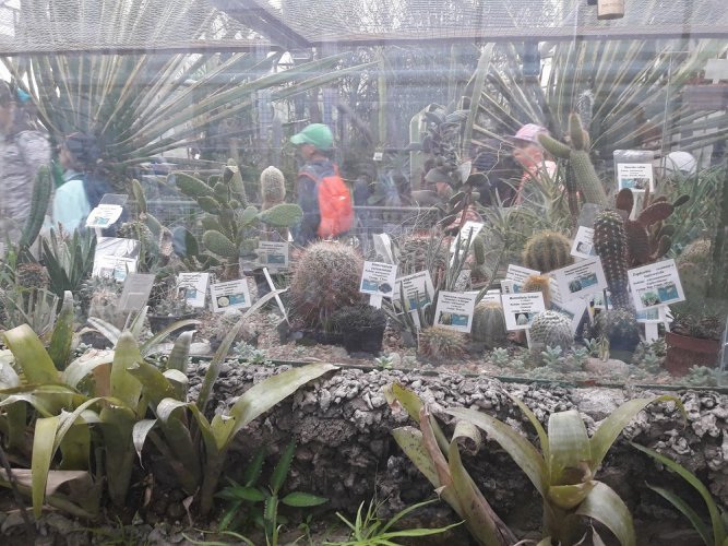 art. wak. part 3 (5).jpg