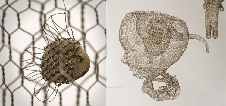 drytmadeinsloviakia (3).jpg