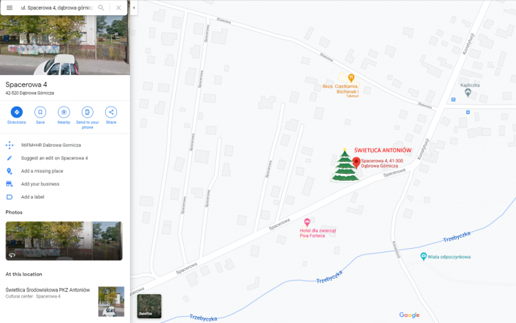 drzewko natoniów.png