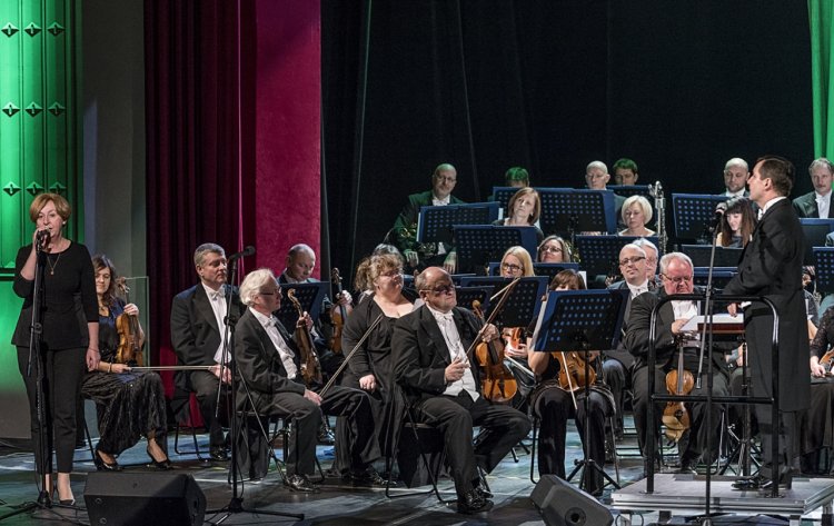 filzabrz 29 (12).jpg