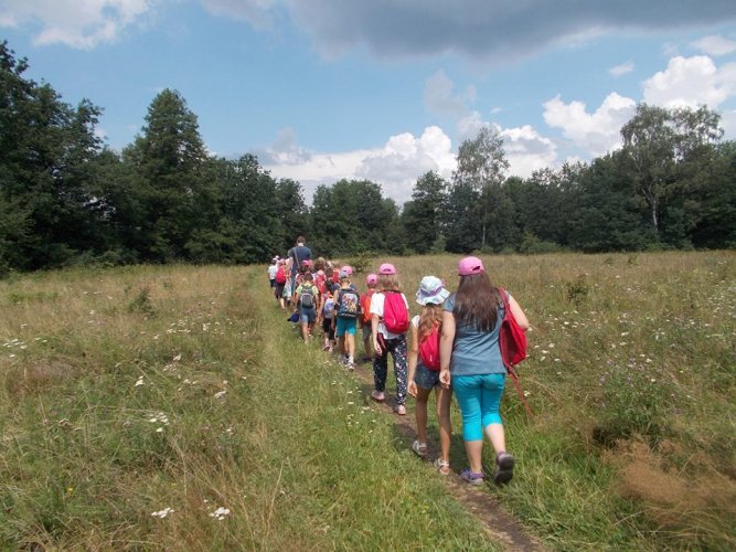 ko zodiak, śś łosień, śś male (24).jpg