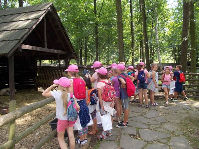 ko zodiak, śś łosień, śś male (8).jpg