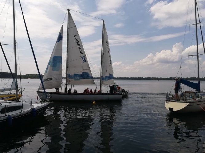 kounikat_akcjalato2018 (2).jpg