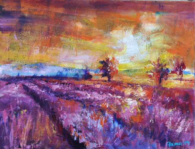 kwitnąca lawenda 60x80 19.jpg