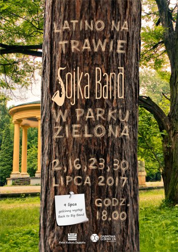 letnie koncerty (sojka, MOD).jpg