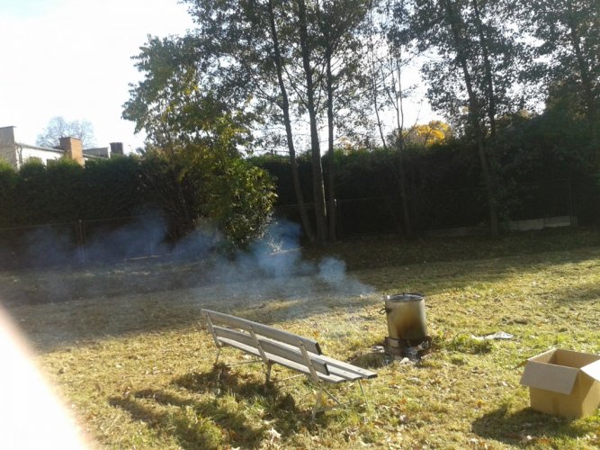 pieczonki rudy 2019 (1).jpg