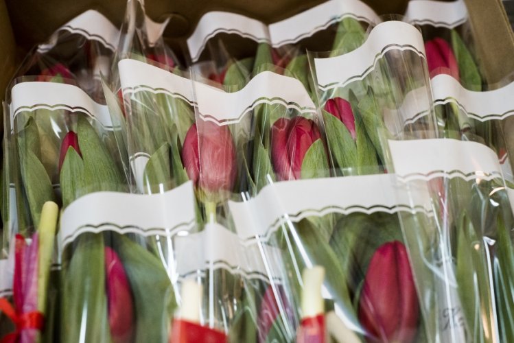 ssleka_dzienkobiet_2018 (5).jpg