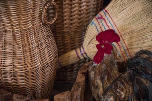 wyszkubek2018 (2).jpg