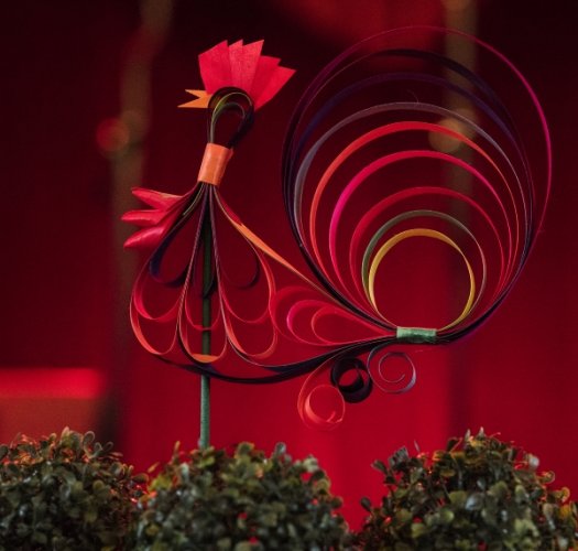 wyszkubek2018 (6).jpg