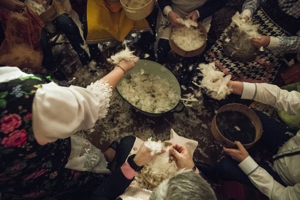 wyszkubek2018 (75).jpg