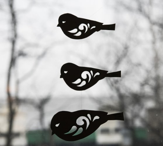 wyszkubek2018 (8).jpg